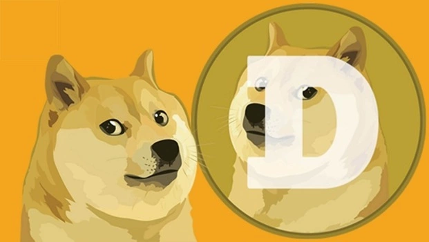 Dogecoin دوج کوین بهترین ارز دیجیتال ارزان برای سرمایه گذاری در سال 2021