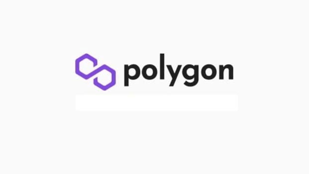 شبکه بلاک چین پالیگان Polygon : سرمایه گذاری بلند مدت ارز دیجیتال