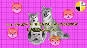 EVERGROW رقیب Shiba Inu راه اندازی توکن جدید را در سپتامبر اعلام کرد!