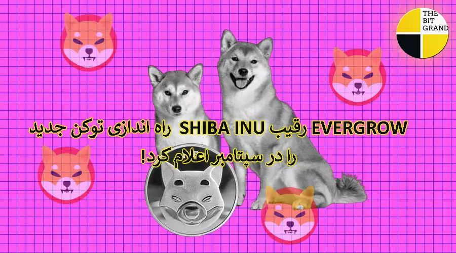 EVERGROW رقیب Shiba Inu راه اندازی توکن جدید را در سپتامبر اعلام کرد!